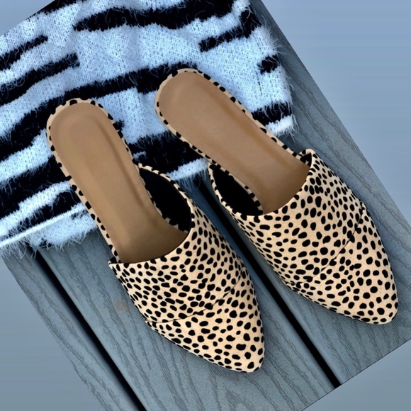 DAKOTA Leopard Print Slip ons - Picture 5 of 5